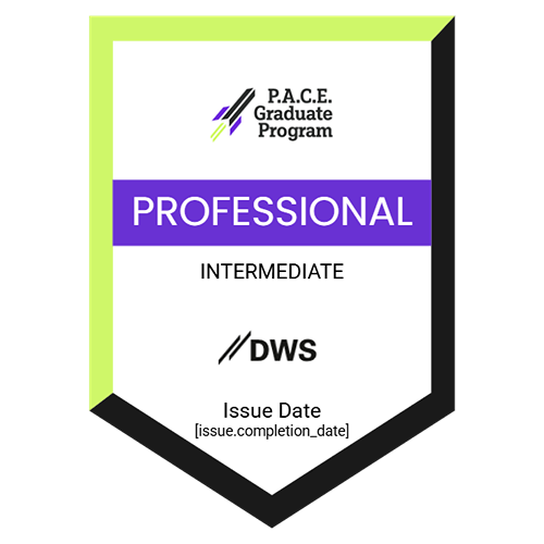 Professional demo
